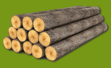 Lumber and Timber in Ukraine